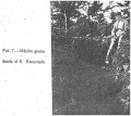 Carlos Orueta Naasiko Goenan (Aranzadi, Barandiaran eta Eguren 1921)